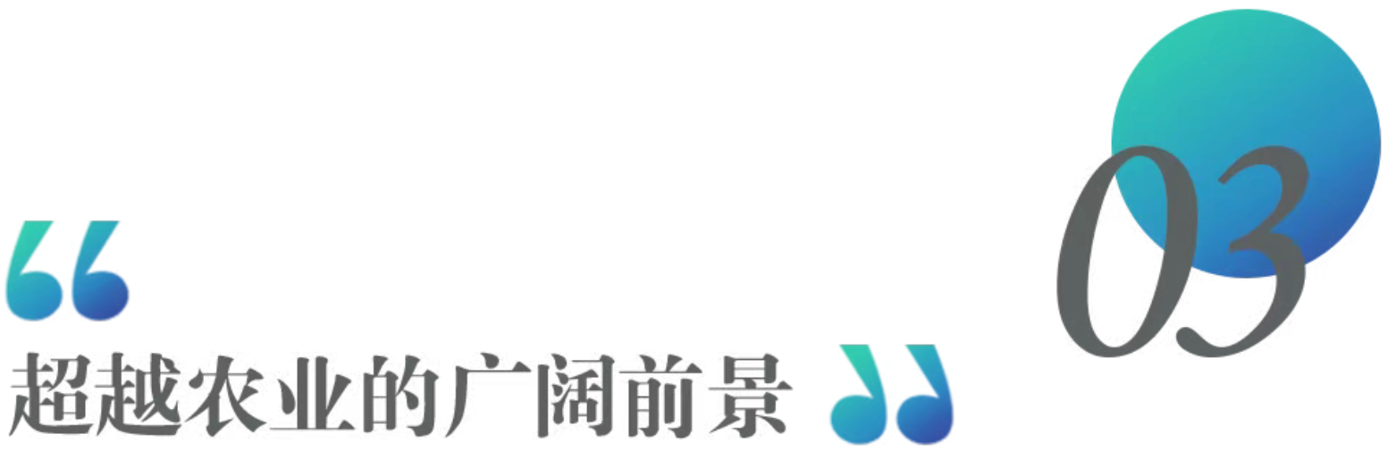 a126c5e217e78c30807bc752d32843ec.png